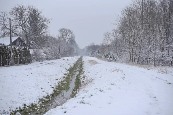 Krásná Zimní Krajina Parku Bezlistými Stromy Pokrytými Sněhem — Stock fotografie