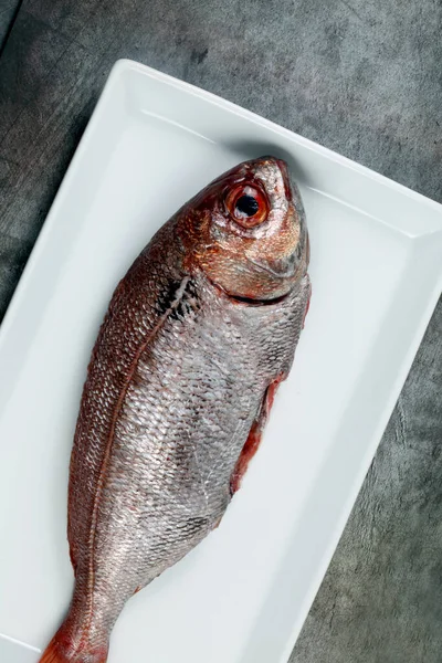 Top View Raw Fish Plate Gray Table — Stock Photo, Image