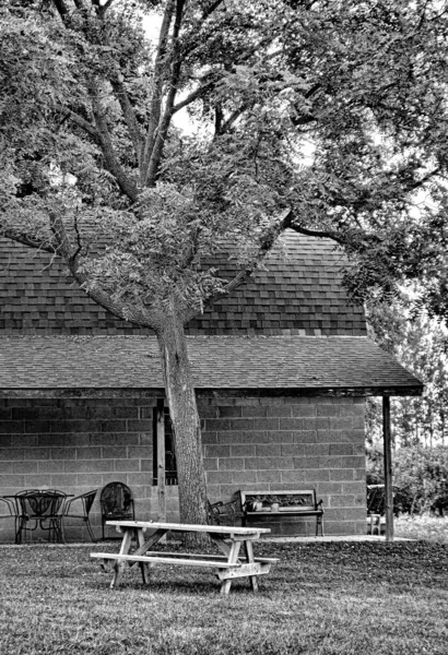 Vue Verticale Niveaux Gris Jardin Avec Banc Près Une Maison — Photo