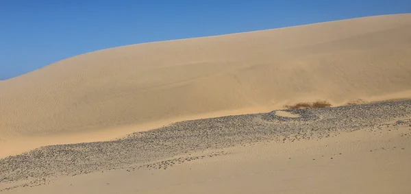 Ein Schöner Blauer Himmel Über Einer Wüste — Stockfoto