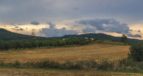 구름낀 배경에 노란색 지대의 — 스톡 사진