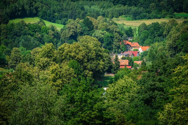 Eine Luftaufnahme Eines Wunderschönen Grünen Waldes Mit Frischen Bäumen Und — Stockfoto