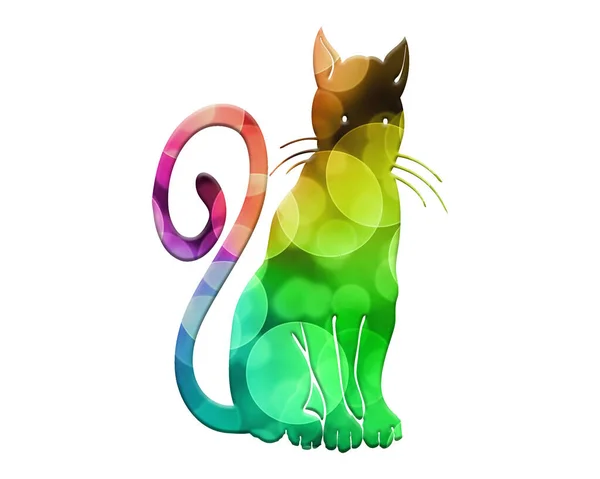 Isolated Cat Spiral Tail Composed Colorful Bokeh Lights Background — Stock Photo, Image