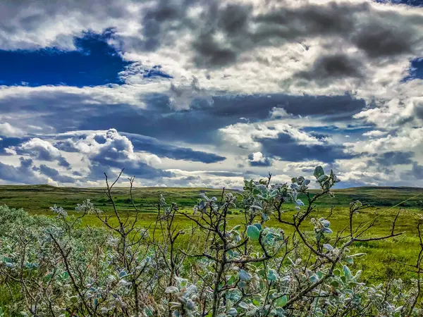 Closeup Shot Natural Landscape Iceland Cloudy Sky — Stock Photo, Image