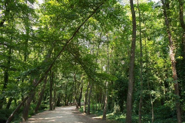 Los Alrededores Del Lago Banyoles Son Ideales Para Relajarse Respirar — Foto de Stock