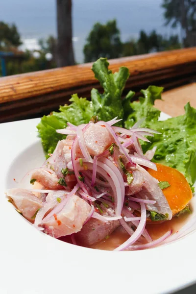 Primer Plano Plato Tradicional Peruano Llamado Ceviche Hecho Con Pescado — Foto de Stock