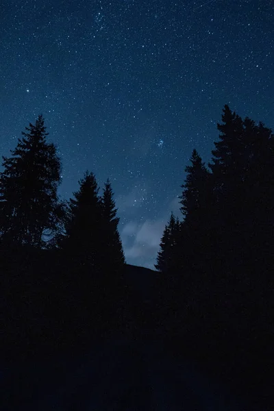 Eine Vertikale Aufnahme Einer Waldsilhouette Unter Einem Sternenhimmel — Stockfoto
