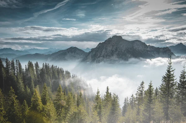 A beautiful shot of forests and a foggy mountain view