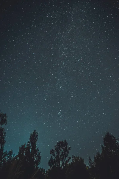 Colpo Verticale Cielo Stellato Con Stelle Sagome Alberi — Foto Stock