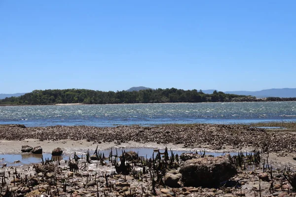 Gros Plan Paysage Culburra Beach Côte Sud Nsw Australie — Photo