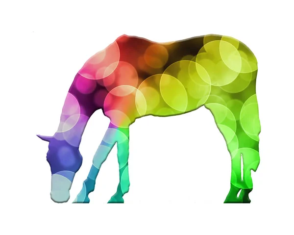 Cavalo Isolado Composto Por Luzes Coloridas Bokeh Fundo — Fotografia de Stock