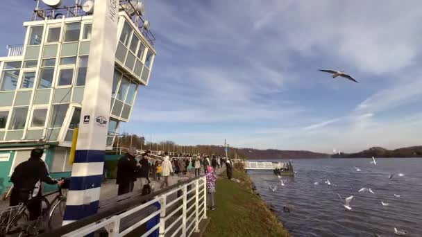 Menschenmassen Und Möwen Regattaturm Baldeneysee Essen Deutschland Zeitraffer Full — Stockvideo