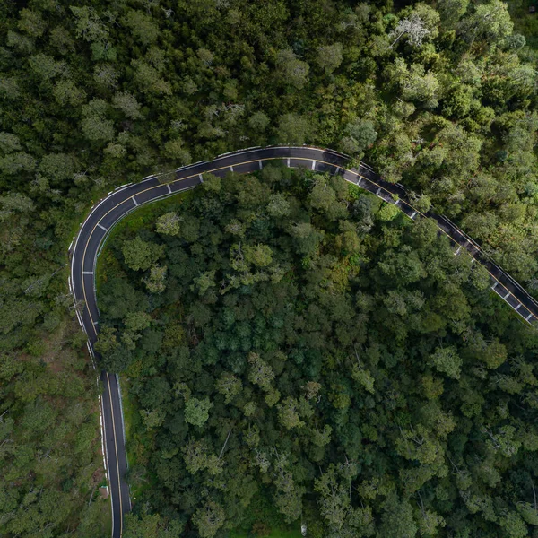 Вид Воздуха Изогнутую Горную Дорогу Между Лесами Лагуне Земпола Мексике — стоковое фото