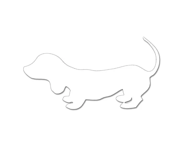 Contorno Preto Isolado Cão Dachshund Fundo Branco — Fotografia de Stock