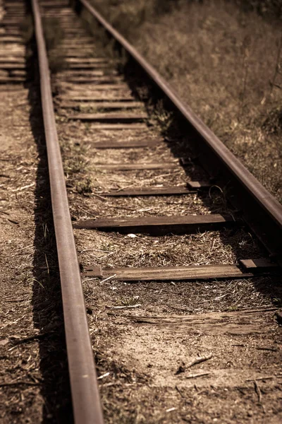 乾いた草を持つ金属製の鉄道の垂直ショット — ストック写真