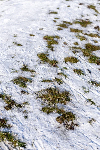Zbliżenie Ujęcia Pokrytej Śniegiem Ziemi Rano — Zdjęcie stockowe