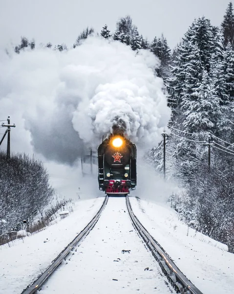 冬に森の中で煙を出す列車の垂直ショット — ストック写真