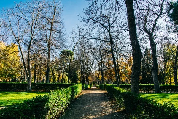 Caminho Cercado Por Verdes Árvores Sob Céu Azul Parque Espanha — Fotografia de Stock