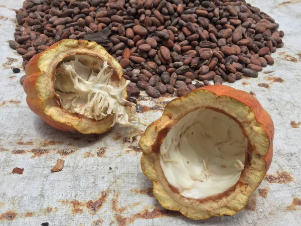 A closeup shot of a Inside of cacao fruit in front of a large pile of cacao seeds