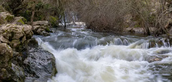 Ein Kleiner Wasserfall Fließt Einen Kleinen Teich Einem Dicht Bewaldeten — Stockfoto