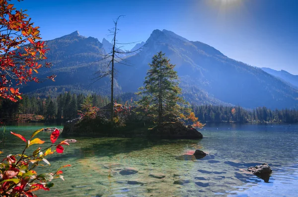 Beautiful Shot Trees Mountains Rocky Lake Sunny Day — Stock Photo, Image