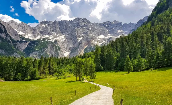 Gravel road in idyllic green valley. Spring, summer, nature, outdoors, mountains. Zgornje Jezersko, Slovenia