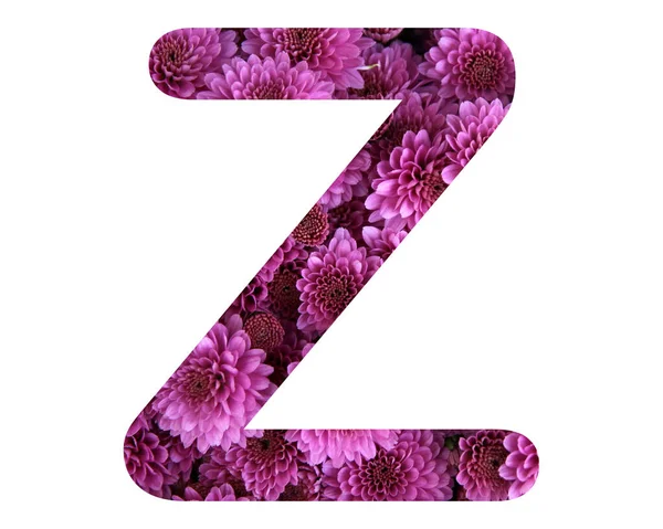 Изолированная Буква Состоящая Розовых Цветов Хризантемы Белом Фоне — стоковое фото