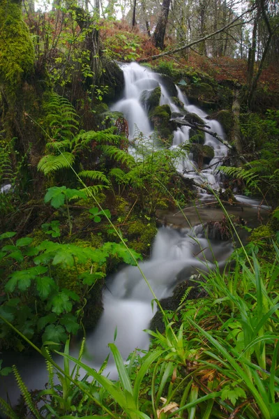 Plano Vertical Río Con Larga Exposición Rodeado Rocas Vegetación Bosque — Foto de Stock