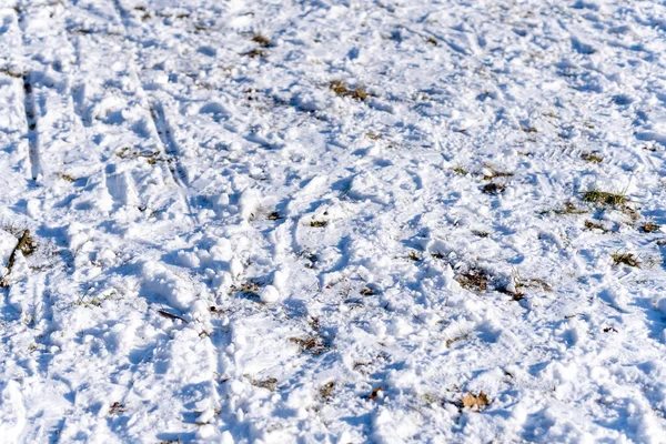 Primer Plano Del Terreno Cubierto Nieve Mañana — Foto de Stock