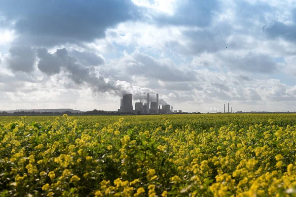 Een Groen Grasland Met Rookwolken Uit Kerncentrale Achtergrond — Stockfoto