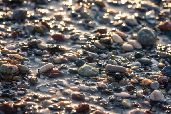 Eine Selektive Fokusaufnahme Von Kieselsteinen Strand — Stockfoto