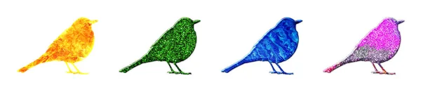 Uma Ilustração Quatro Aves Compostas Por Texturas Vibrantes Coloridas Isoladas — Fotografia de Stock