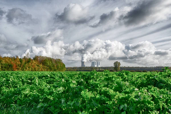 Green Grassy Land Clouds Smoke Rising Nuclear Power Plant Background — Stock Photo, Image