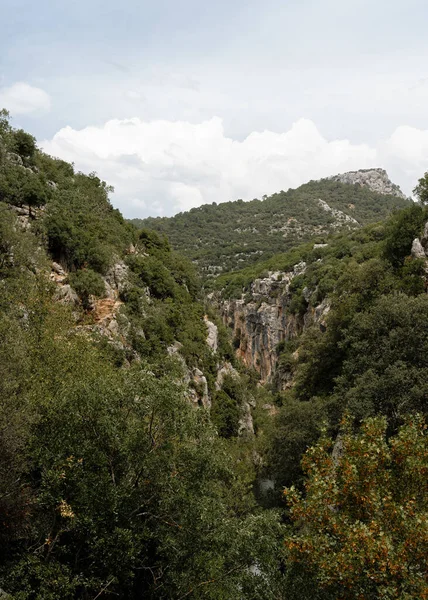 Krásný Výhled Hory Pokryté Lesem Vodou Sierra Cazorla Jaen Espana — Stock fotografie