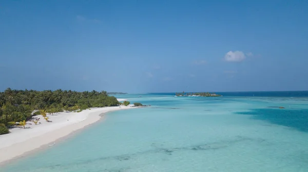Ein Sandstrand Mit Palmen Auf Den Malediven — Stockfoto