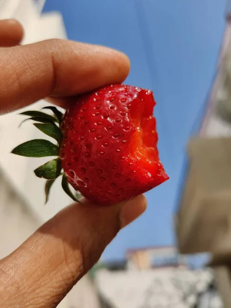 Closeup View Person Holding Bitten Red Ripe Strawberry Hands Sky — Stock Photo, Image