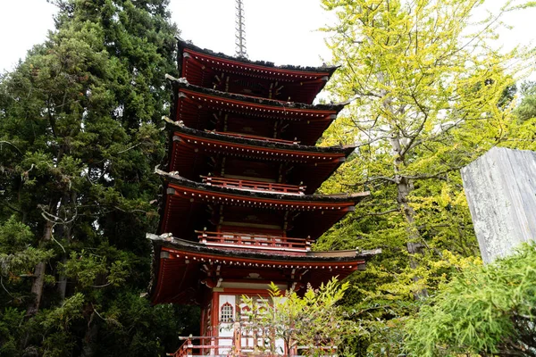 Krásný Výhled Japonskou Čajovou Zahradu San Franciscu Kalifornie — Stock fotografie