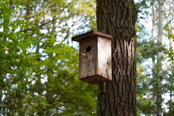 Eine Flache Aufnahme Eines Hölzernen Vogelhauses Das Einem Baumstamm Hängt — Stockfoto