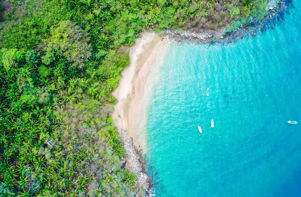 Una Vista Aérea Abay Con Agua Turquesa Rodeada Árboles — Foto de Stock