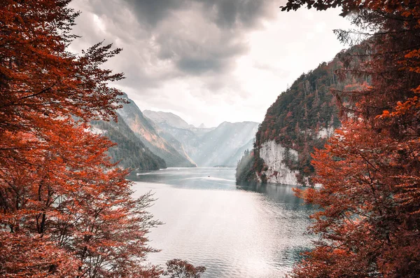 Beau Cliché Arbres Rouges Automne Sur Une Rive Lac Avec — Photo