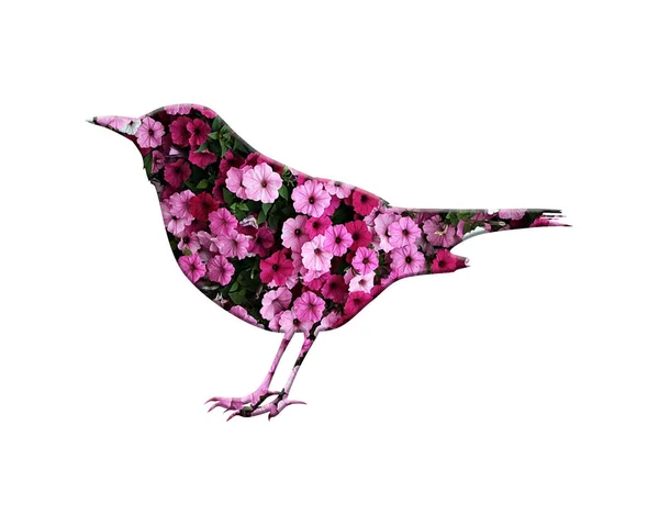 Isolated Bird Composed Pink Petunia Flowers White Background — Stock Photo, Image