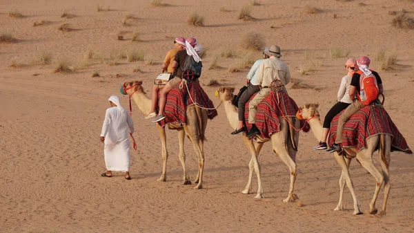 Dubai Emirados Arab Unidos Maio 2019 Passeios Camelo Durante Safári — Fotografia de Stock