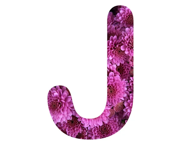 一种由白色背景的粉红色菊花组成的分离字母 — 图库照片