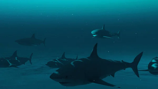 Great White Sharks Swimming Blue Ocean Water Closeup Underwater Scene — Stockfoto