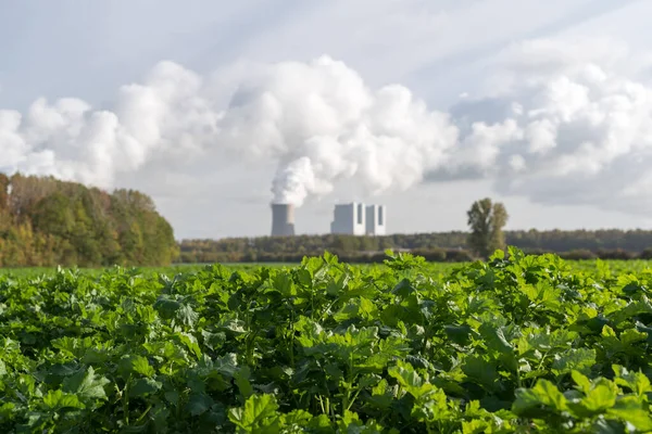 Green Grassy Land Clouds Smoke Rising Nuclear Power Plant Background Royalty Free Stock Images