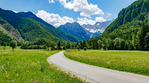 Yeşil Tarlaların Dağların Arasından Geçen Güzel Bir Yol Görüntüsü — Stok fotoğraf