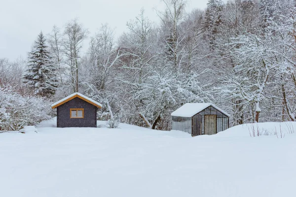 Een Prachtig Winterlandschap Met Huisjes Een Bos — Stockfoto