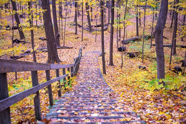 Hojas Otoño Cubren Escaleras Sawmill Valley Trail Mississauga Ontario Canadá —  Fotos de Stock