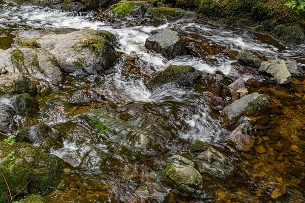 Une Petite Rivière Qui Coule Travers Les Roches Moussues — Photo