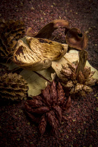 Een Verticaal Shot Van Een Gedroogde Plant Potpourri Natuurlijk Geurende — Stockfoto